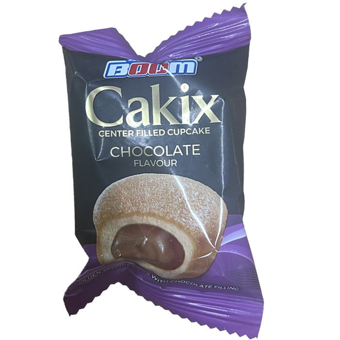 A0211002 - CAKE CAKIX CHOCOLAT 20G BTE DE 24