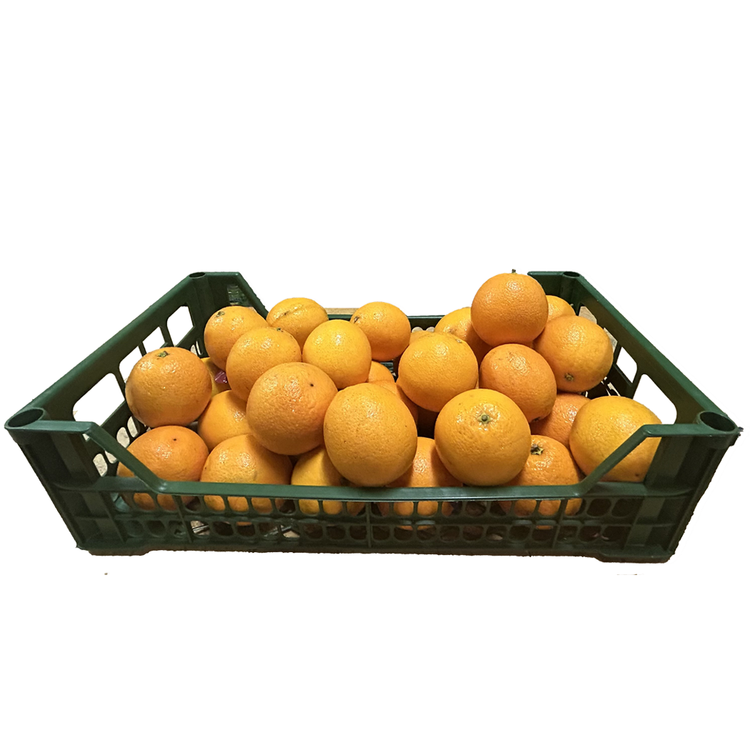 A1001005 - ORANGE NAVEL 80/88 AU KG