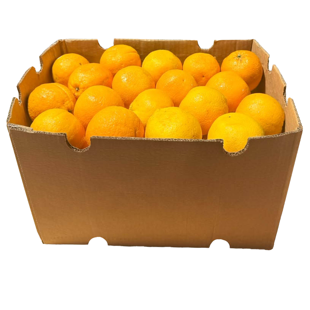 A1001005 - ORANGE NAVEL AU KG