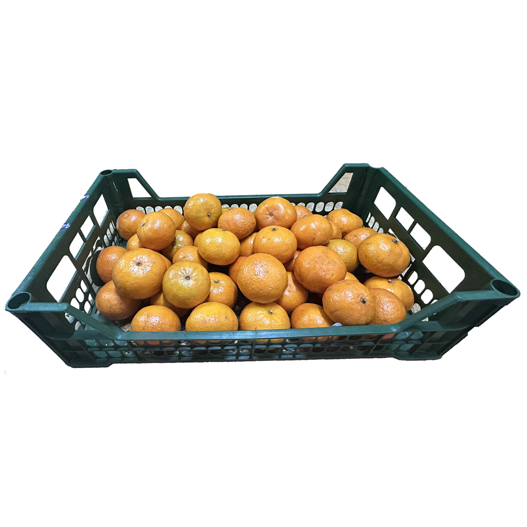 A1001012 - MANDARINE FERMONT AU KG