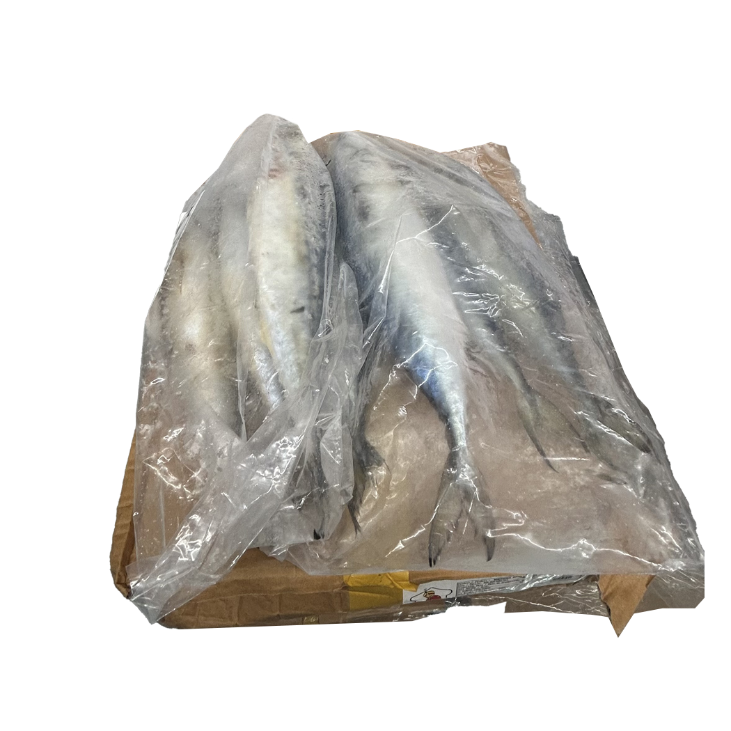 A1206006 - MAQUEREAUX 400/600GR -10 KGS