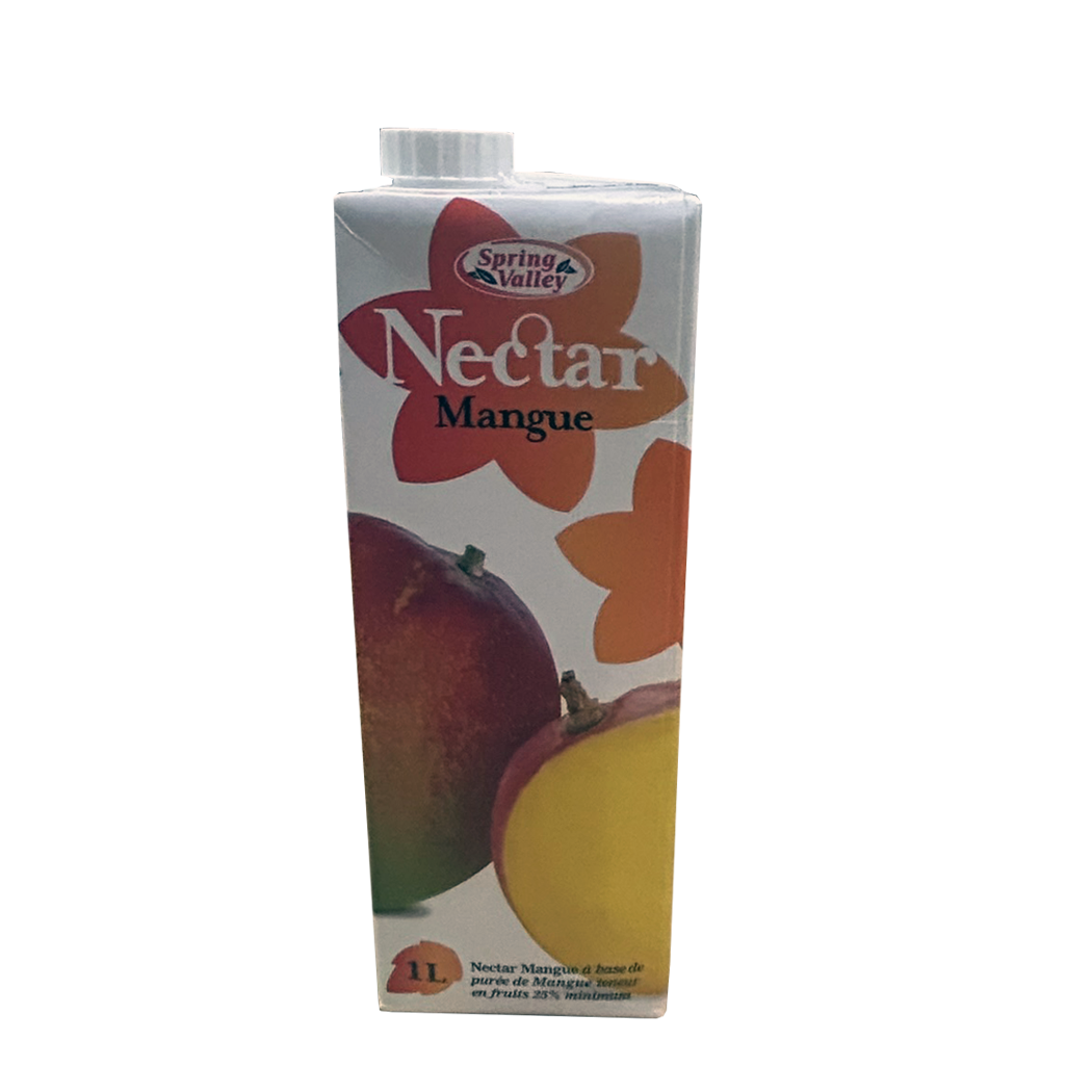 B0203014 - NECTAR MANGUE SPRING VALLEY BRIQUE 1L