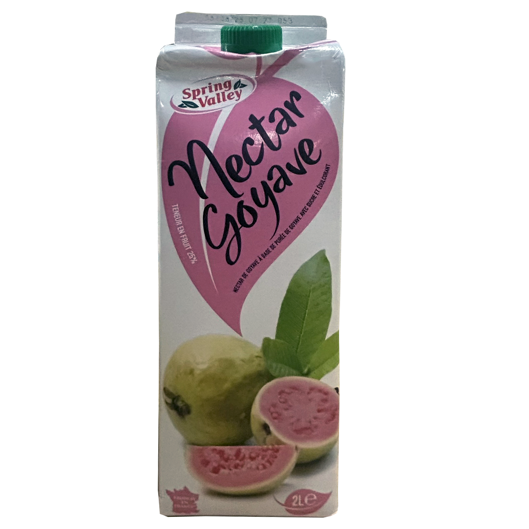 B0203022 - NECTAR GOYAVE SPRING VALLEY BRIQUE 2L