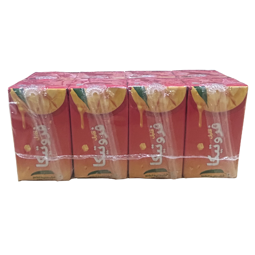 B0208005 - AKIJ - FRUTIKA BOIS NECTAR MANGUE 125ML