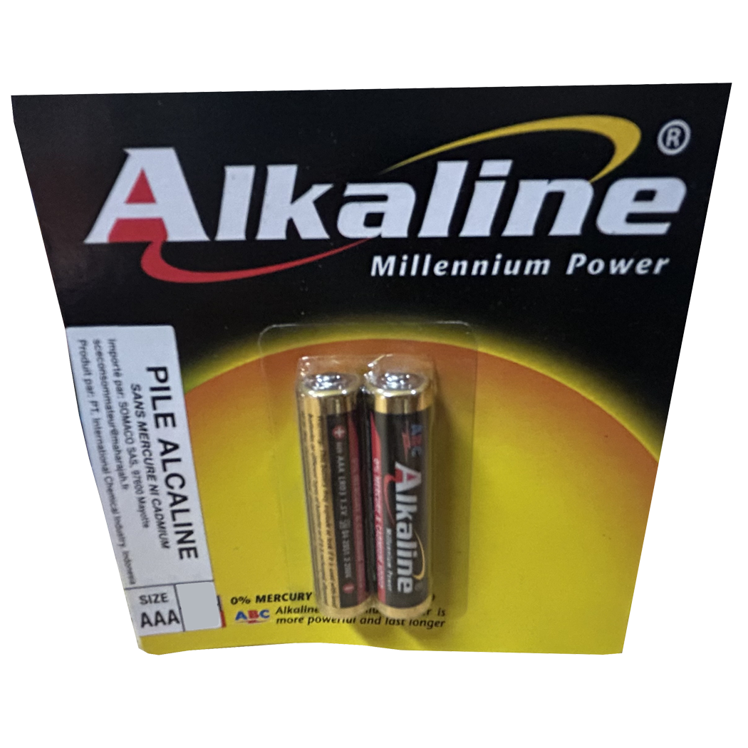 E0406015 - PT INTER - PILE LR03-2B ALKALINE