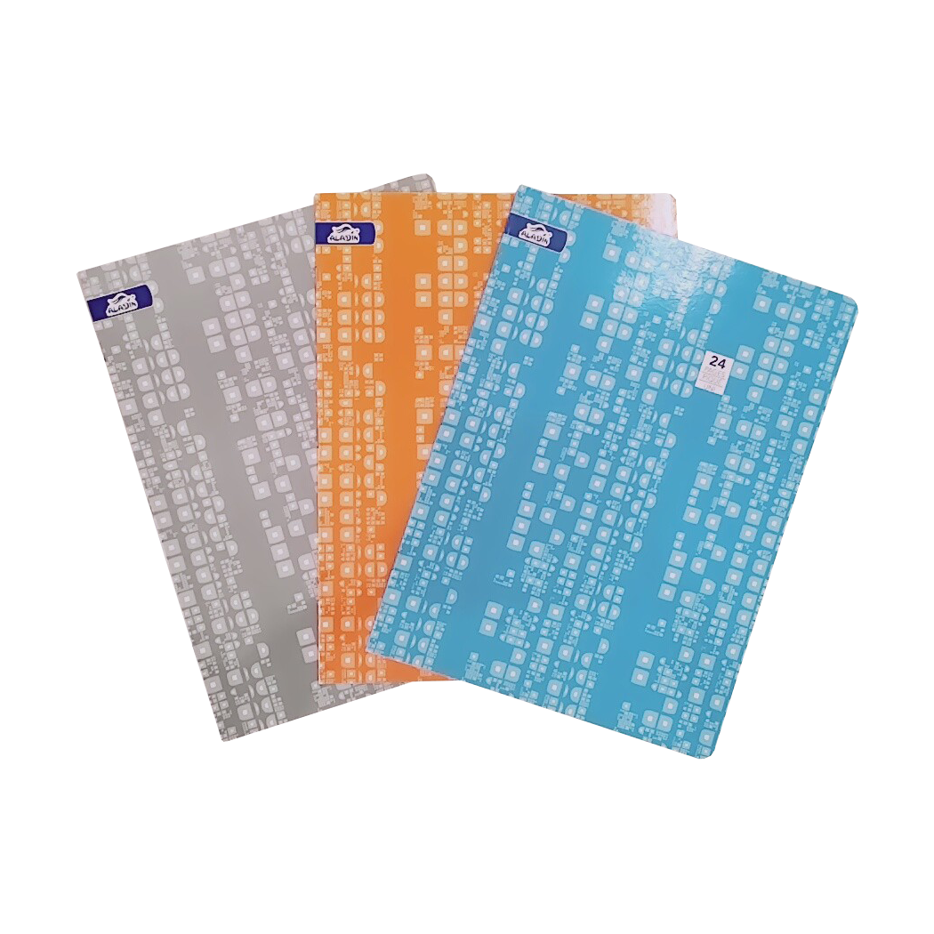 P0201035 - CAHIER PIQUE DESSIN 90g 24x32 24P O