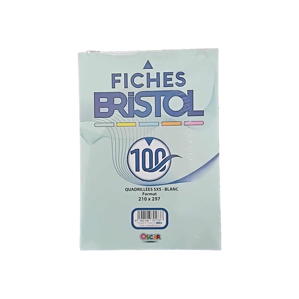 P0401001 - FICHE BRISTOL BLANC 210/297 5/5-BTE 100