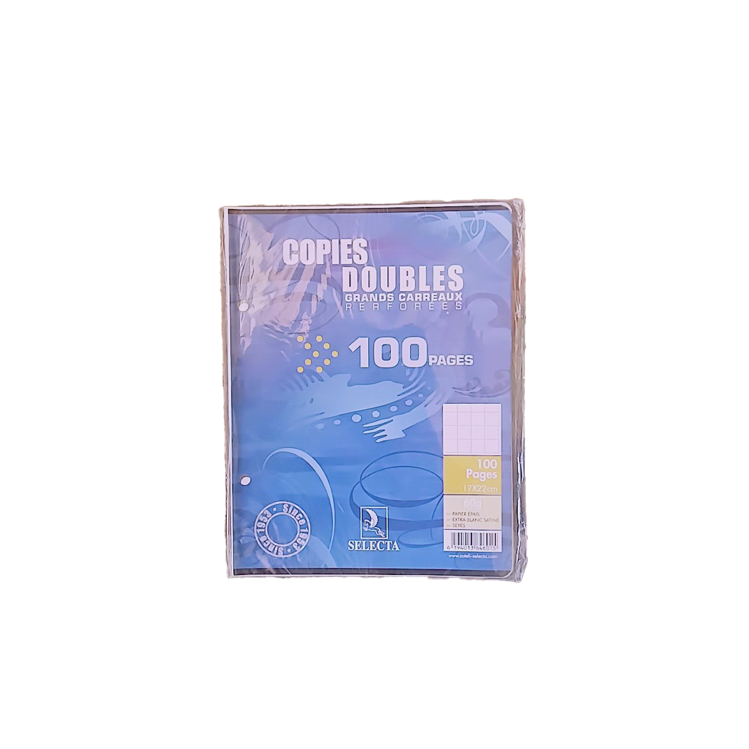 P0402002 - COPIE DOUBLE PERF 17X22 100P SEYES
