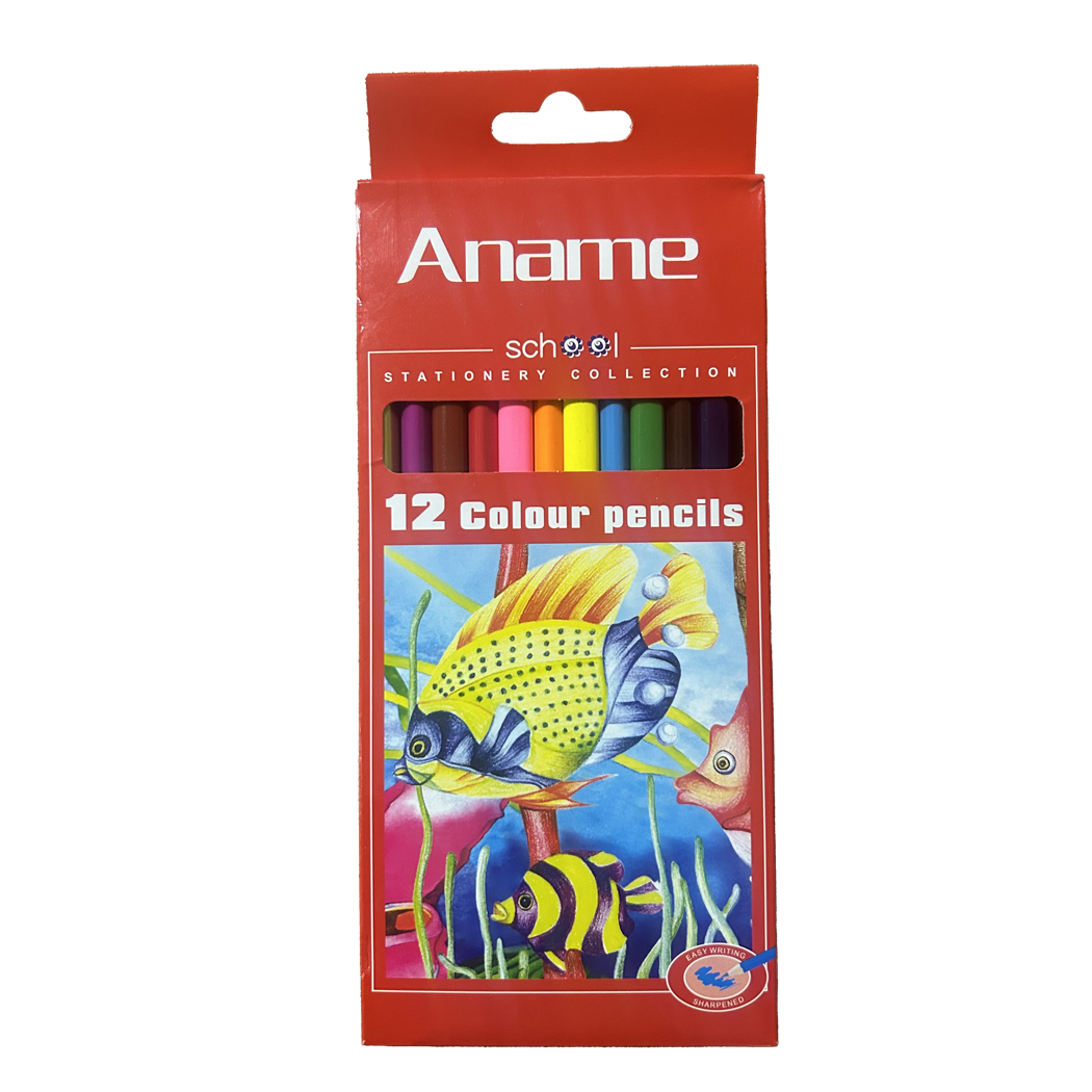 P0606001 - NINGBO - CRAYON DE COULEUR x12