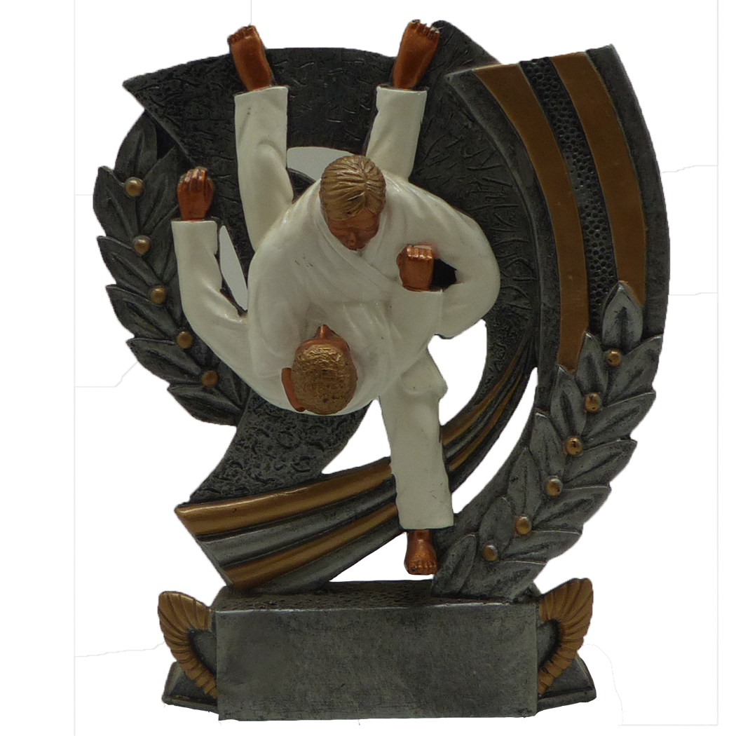 R0303007 - TROPHEE RESINE JUDO T23