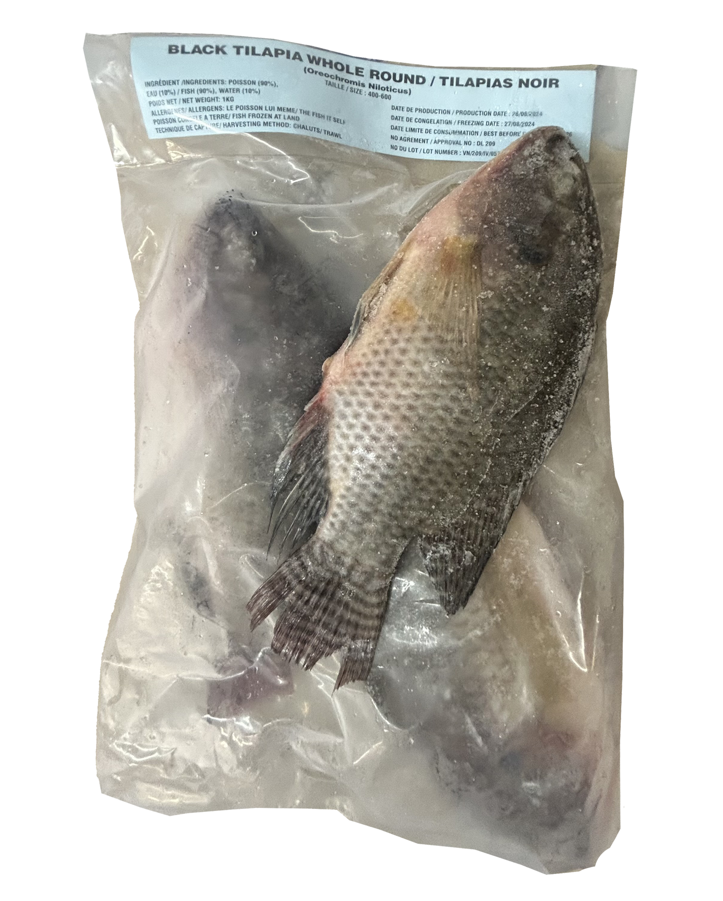 A1206008 - KIM - TILAPIA AU KG