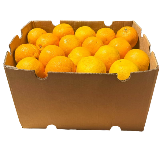 A1001005 - ORANGE NAVEL AU KG
