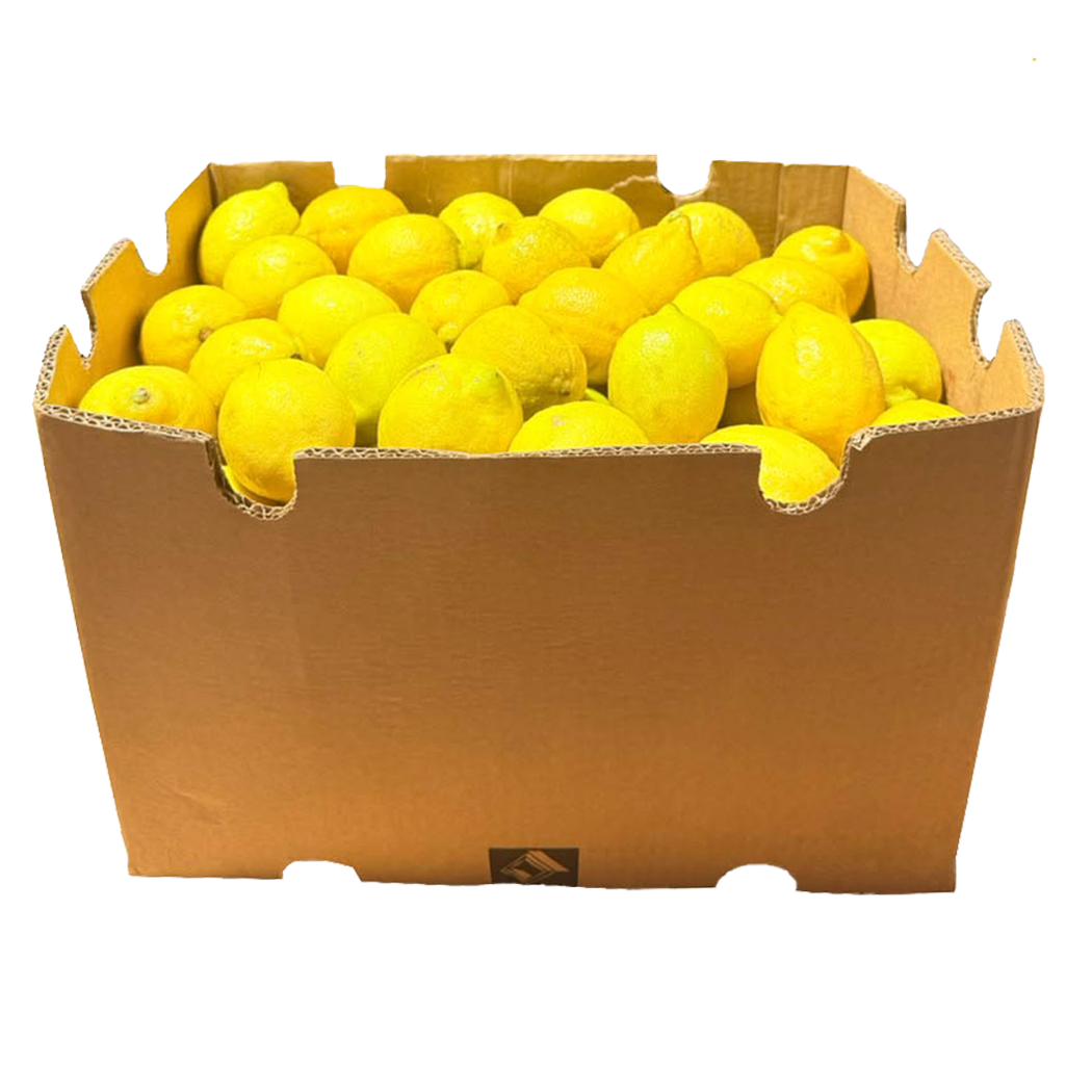 A1001010 - CITRON EUREKA AU KG