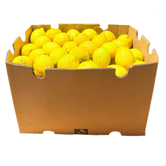 A1001010 - CITRON EUREKA AU KG