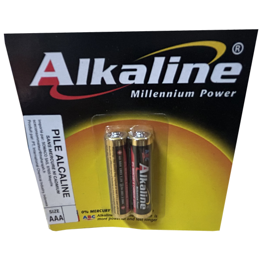 E0406015 - PT INTER - PILE LR03-2B ALKALINE