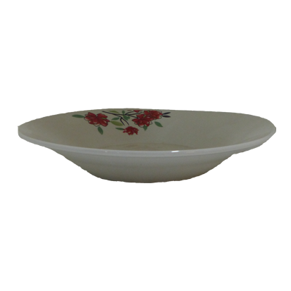 M0901019 - ASSIETTE PORCELAINE 9 P