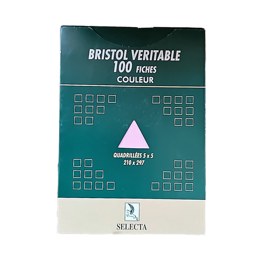 P0401005 - FICHE BRISTOL ROSE ETUI 100 FEUILLES