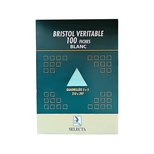 P0401006 - FICHE BRISTOL VERT ETUI 100 FEUILLES